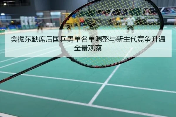 樊振东缺席后国乒男单名单调整与新生代竞争升温全景观察