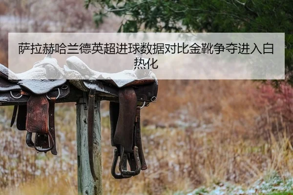 萨拉赫哈兰德英超进球数据对比金靴争夺进入白热化