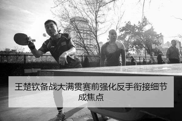 王楚钦备战大满贯赛前强化反手衔接细节成焦点