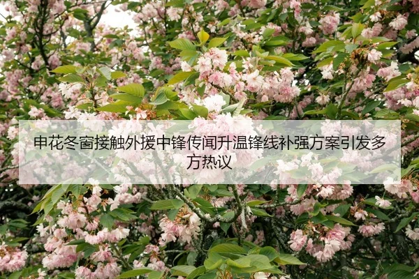 申花冬窗接触外援中锋传闻升温锋线补强方案引发多方热议